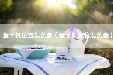 查手机位置怎么查（查手机定位怎么查）