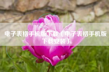 电子表格手机版下载（电子表格手机版下载安装）